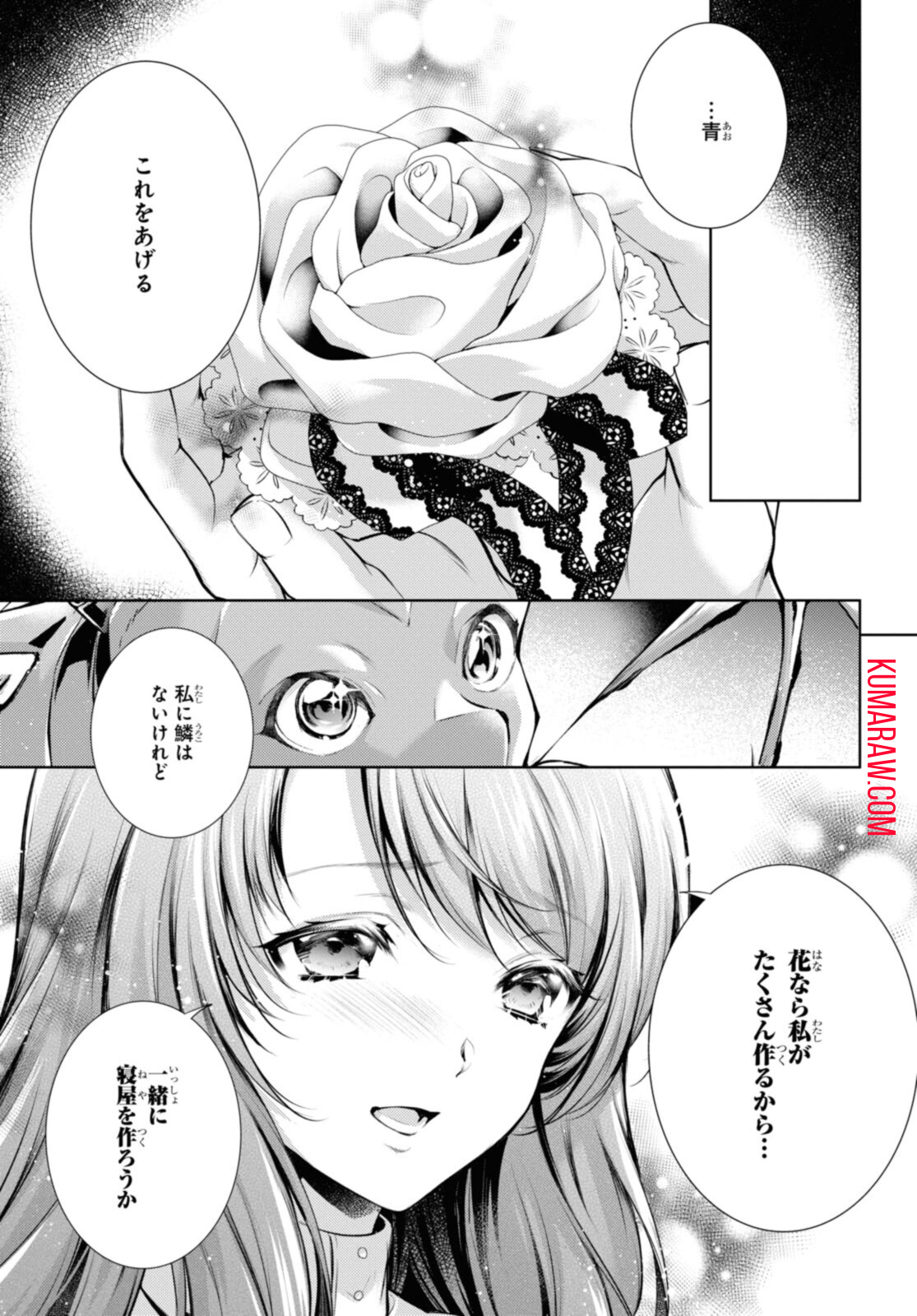 竜騎士のお気に入り 第28.1話 - Page 5