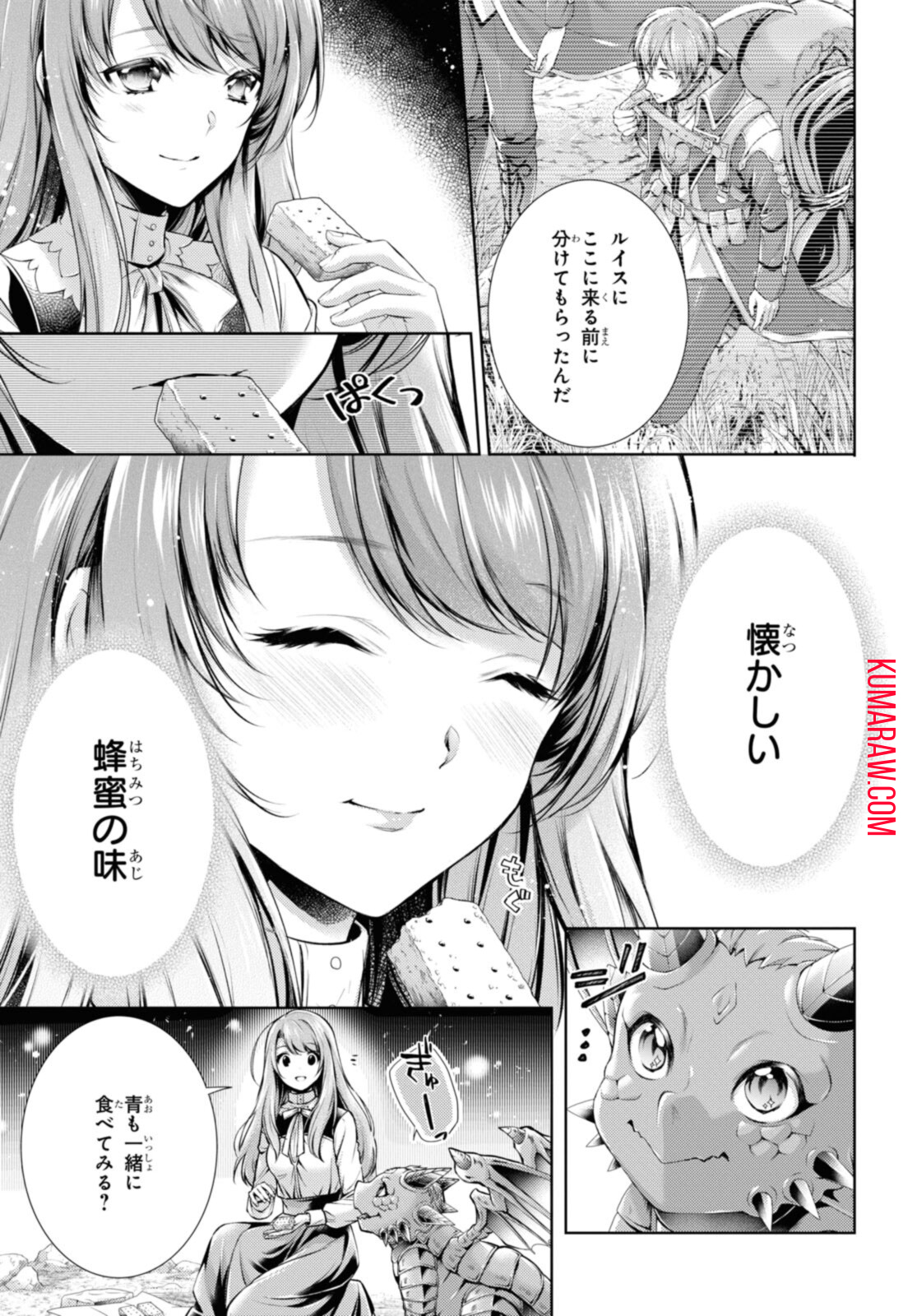 竜騎士のお気に入り 第29.2話 - Page 1