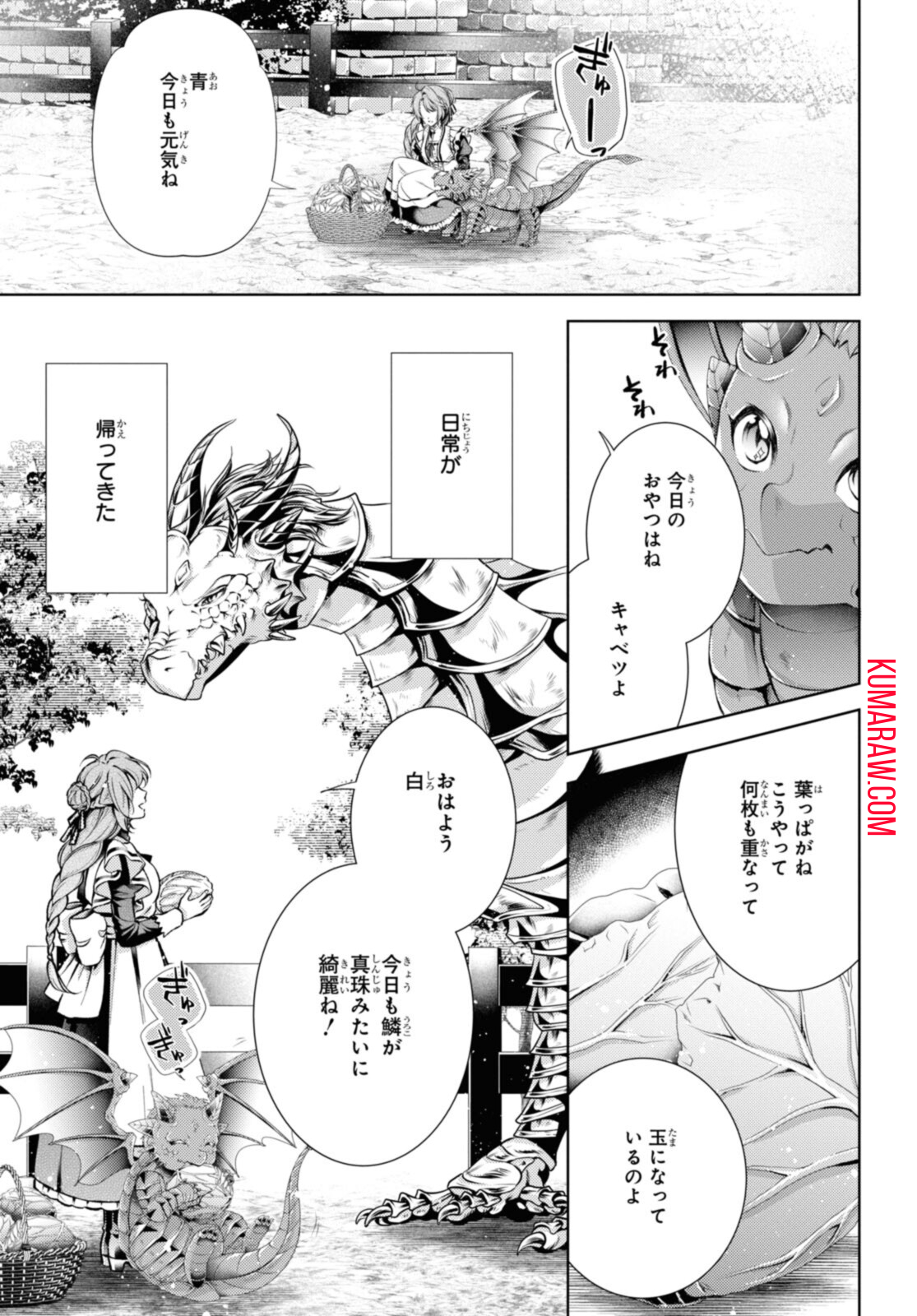 竜騎士のお気に入り 第31.1話 - Page 13