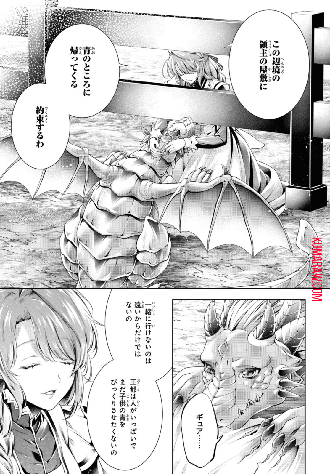 竜騎士のお気に入り 第37.1話 - Page 11