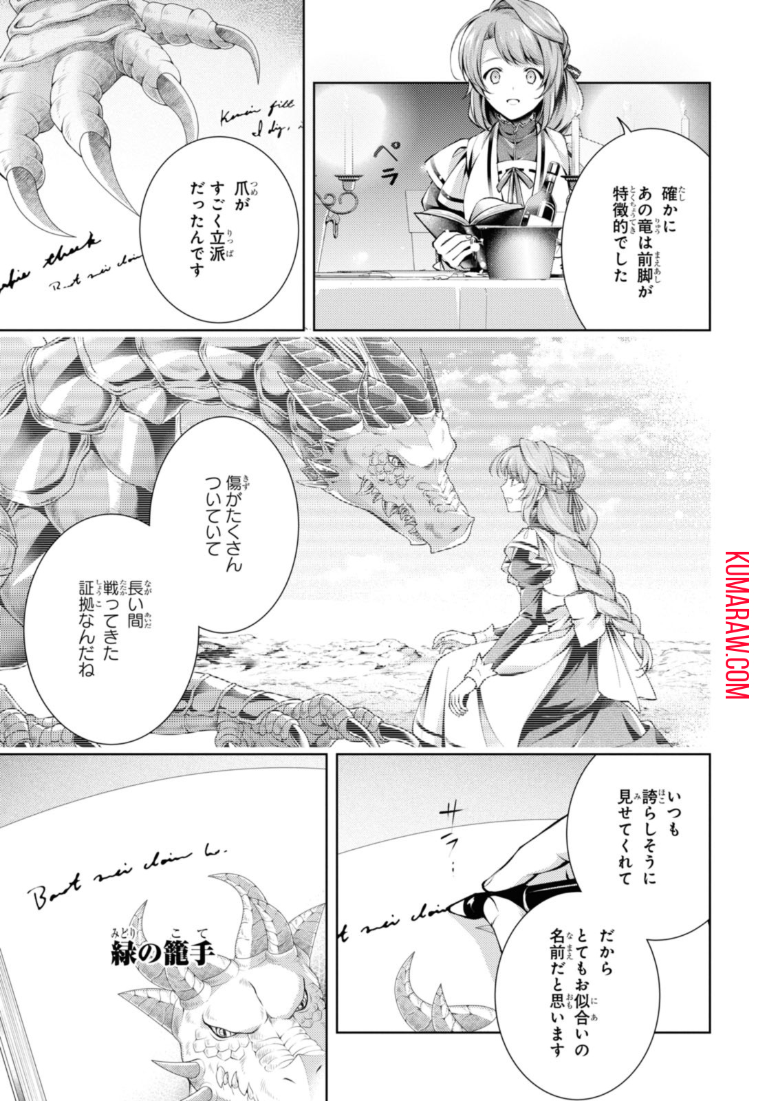 竜騎士のお気に入り 第38.1話 - Page 9