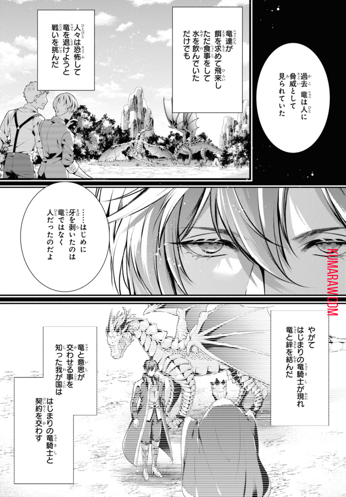 竜騎士のお気に入り 第41.1話 - Page 9