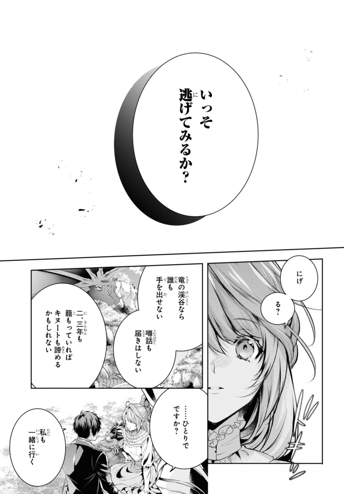 竜騎士のお気に入り 第46.1話 - Page 5