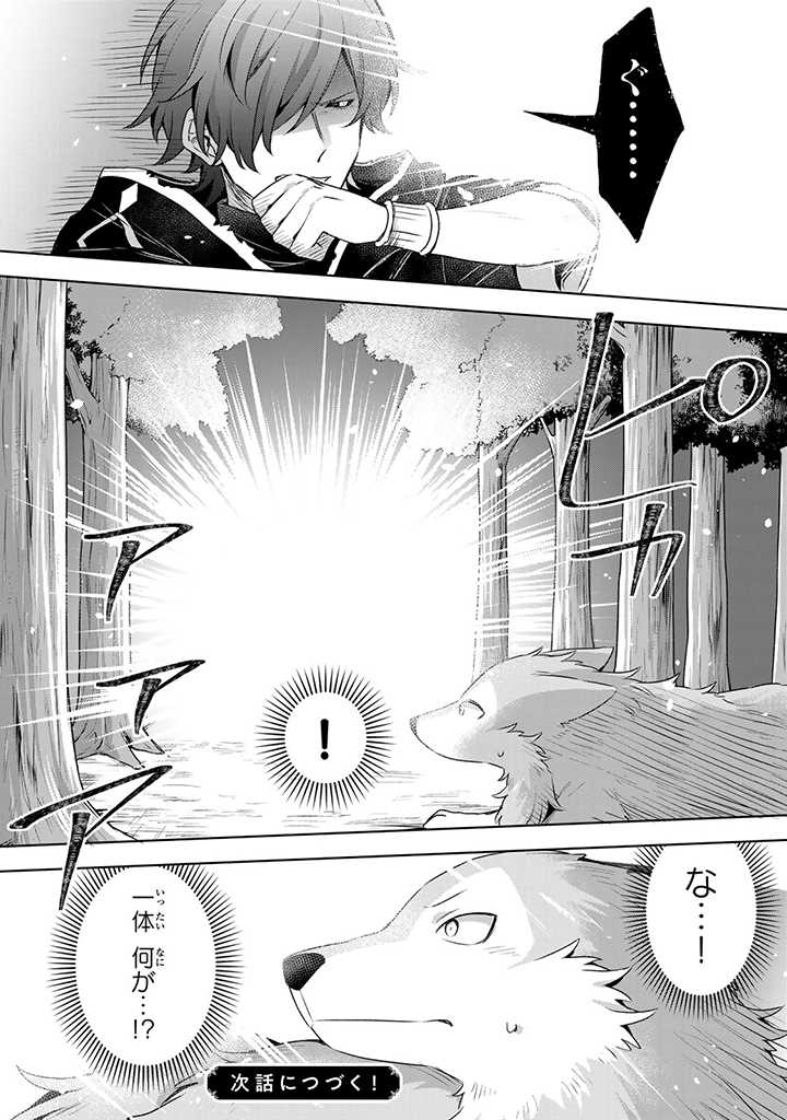 真の聖女である私は追放されました。だからこの国はもう終わりです 第20.2話 - Page 17