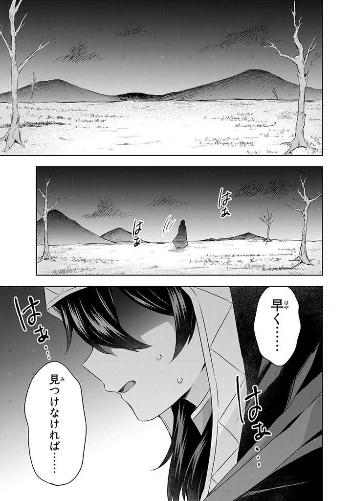 真の聖女である私は追放されました。だからこの国はもう終わりです 第24.2話 - Page 16