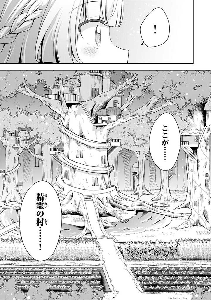 真の聖女である私は追放されました。だからこの国はもう終わりです 第28.1話 - Page 5