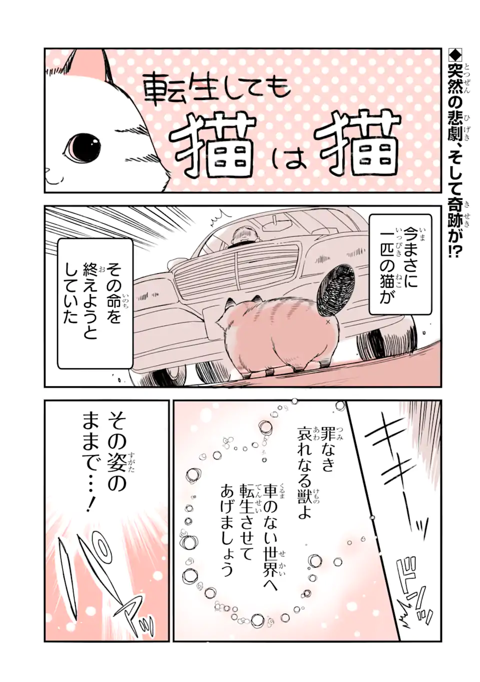 Tensei Shitemo Neko wa Neko 転生しても猫は猫 第1話 - Page 2