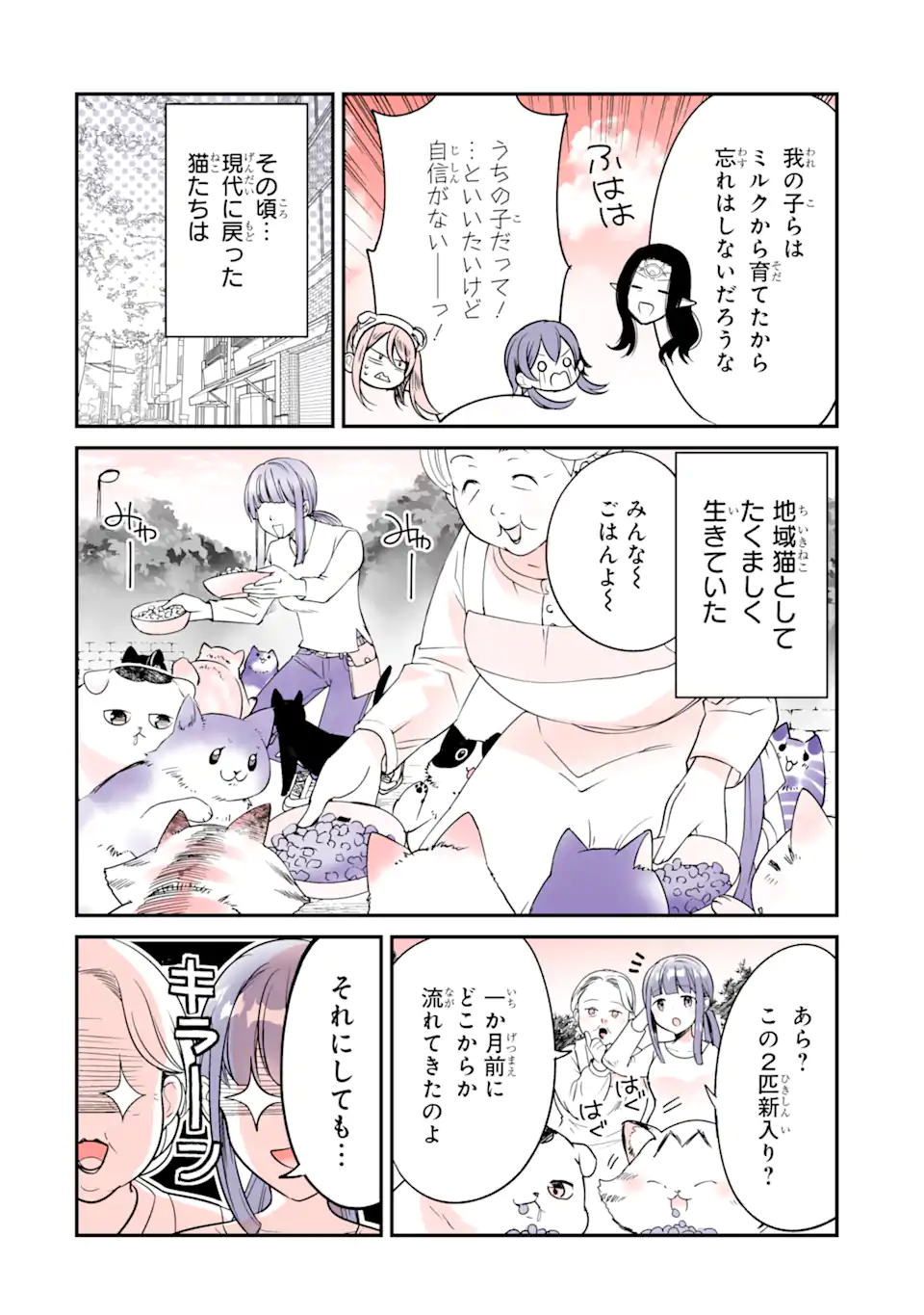 Tensei Shitemo Neko wa Neko 転生しても猫は猫 第44話 - Page 6