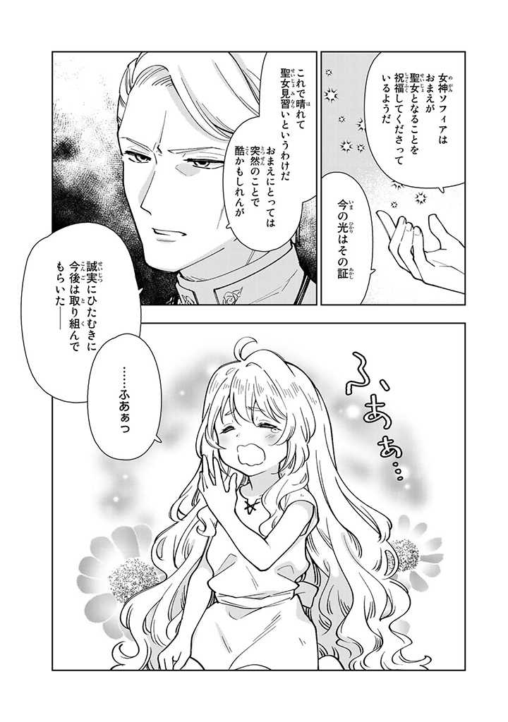 転生大聖女の異世界のんびり紀行 Tensei Daiseijo no Isekai Nonbiri Kikou 第1話 - Page 15