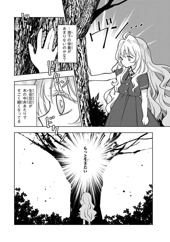 転生大聖女の異世界のんびり紀行 Tensei Daiseijo no Isekai Nonbiri Kikou 第3.1話 - Page 12