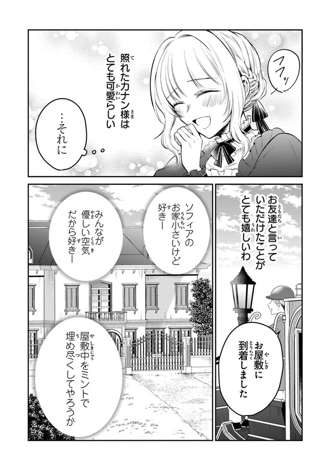 義妹が聖女だからと婚約破棄されましたが、私は妖精の愛し子です 第16話 - Page 18