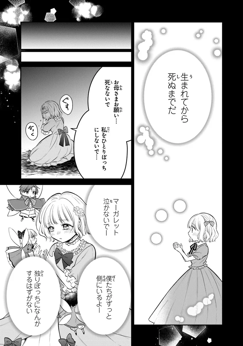 義妹が聖女だからと婚約破棄されましたが、私は妖精の愛し子です 第24話 - Page 3