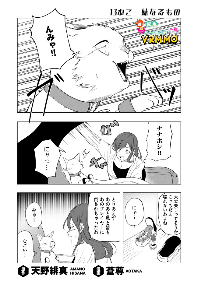 猫に転生したけど、暇なのでゲーマー女子と一緒にＶＲＭＭＯをする 第13.1話 - Page 1