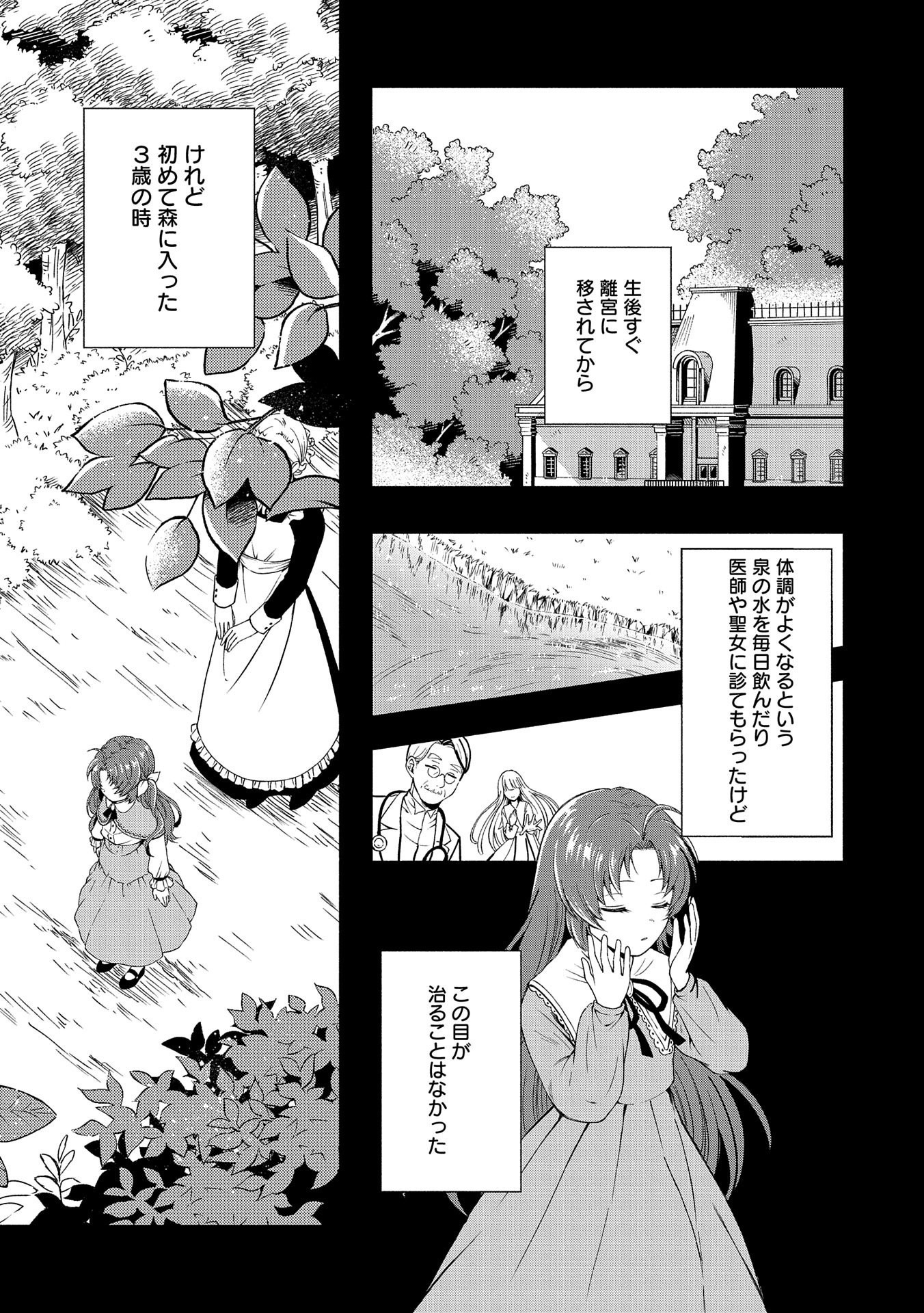 転生した大聖女は、聖女であることをひた隠すZERO～The Great Saint of Remembrance～ 第1話 - Page 27