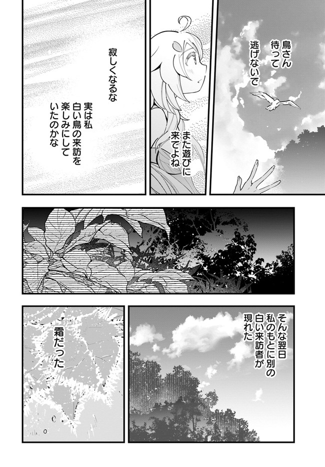 植物モンスター娘日記　～聖女だった私が裏切られた果てにアルラウネに転生してしまったので、これからは光合成をしながら静かに植物ライフを過ごします～ 第9話 - Page 12