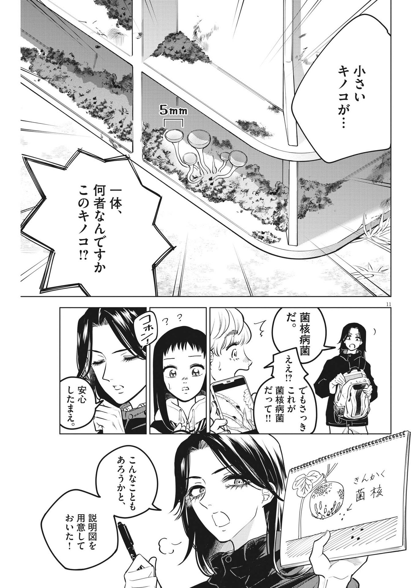 植物病理学は明日の君を願う 第14話 - Page 11