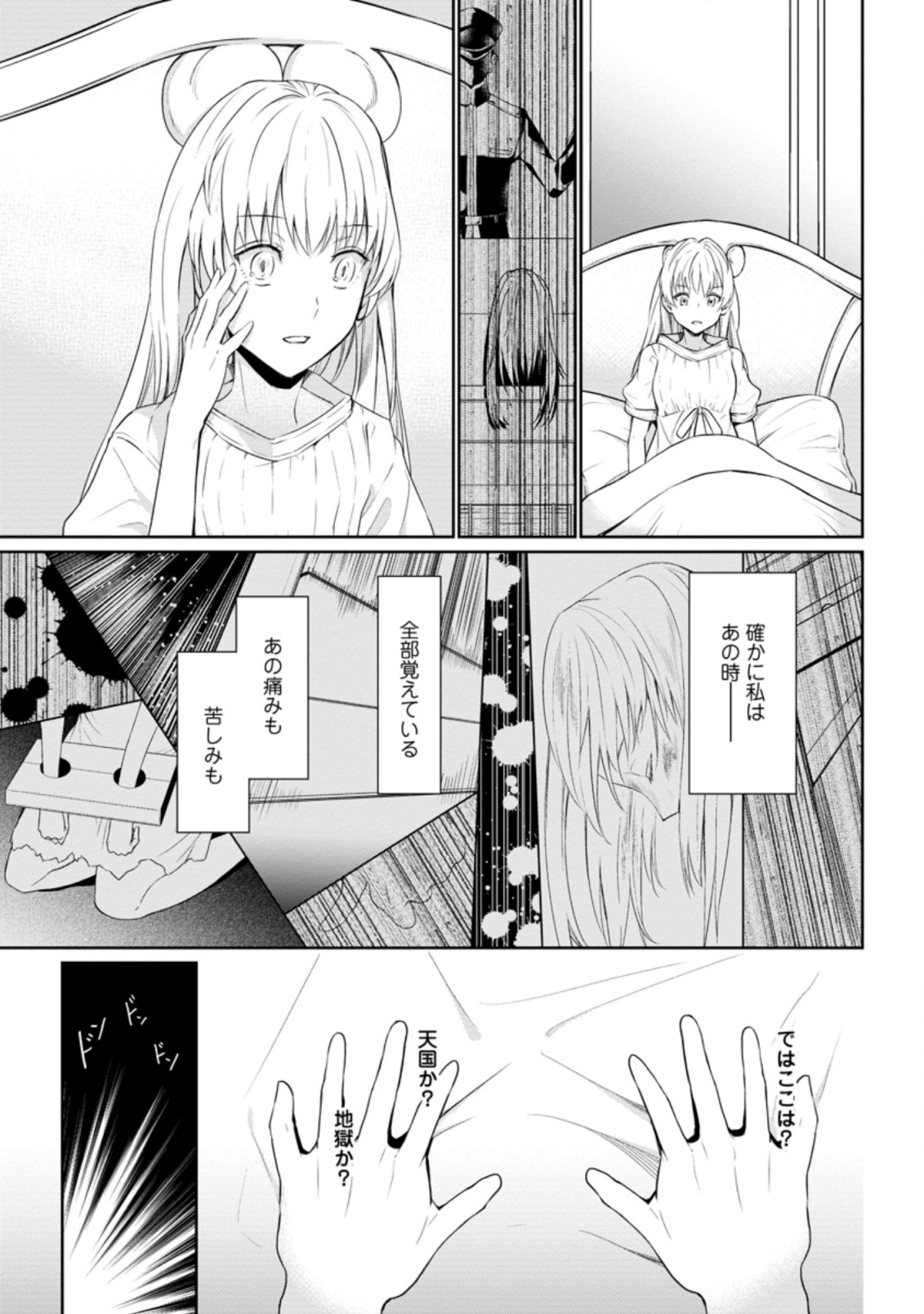 騙され裏切られ処刑された私が……誰を信じられるというのでしょう? 第1.1話 - Page 5