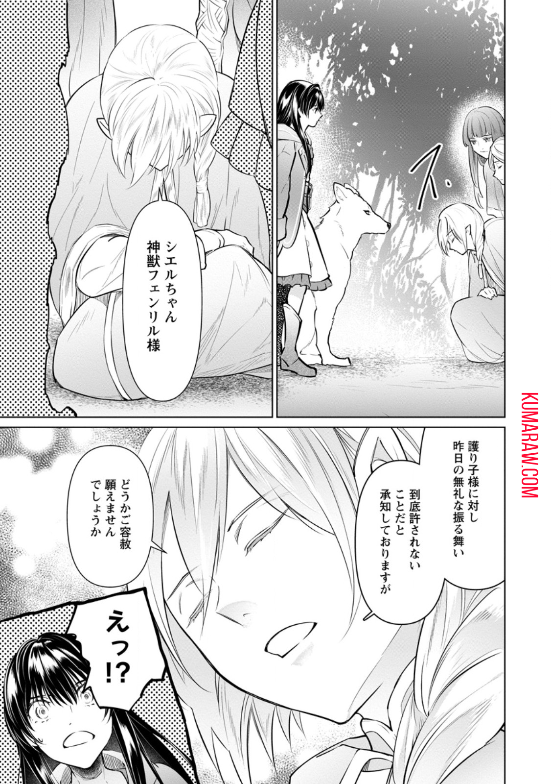 騙され裏切られ処刑された私が……誰を信じられるというのでしょう? 第25.3話 - Page 3