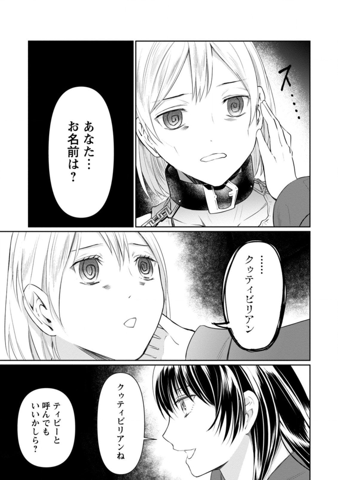 騙され裏切られ処刑された私が……誰を信じられるというのでしょう? 第8.2話 - Page 3