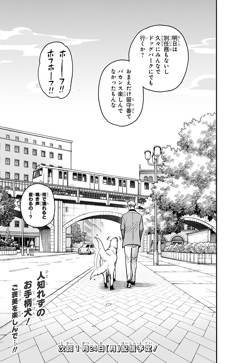 スパイファミリー 第58.2話 - Page 17