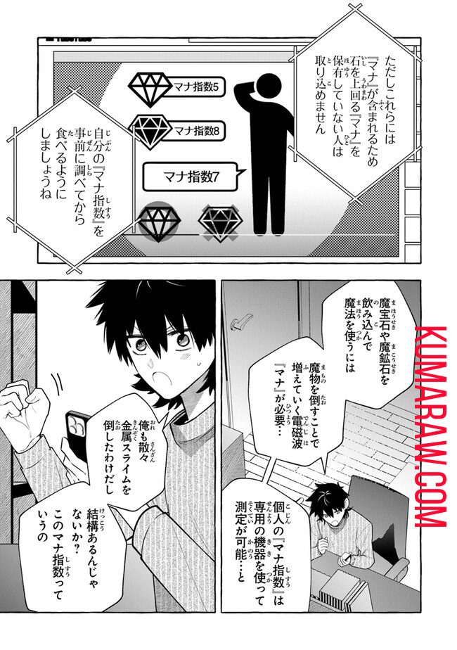 金属スライムを倒しまくった俺が【黒鋼の王】と呼ばれるまで 第3話 - Page 13