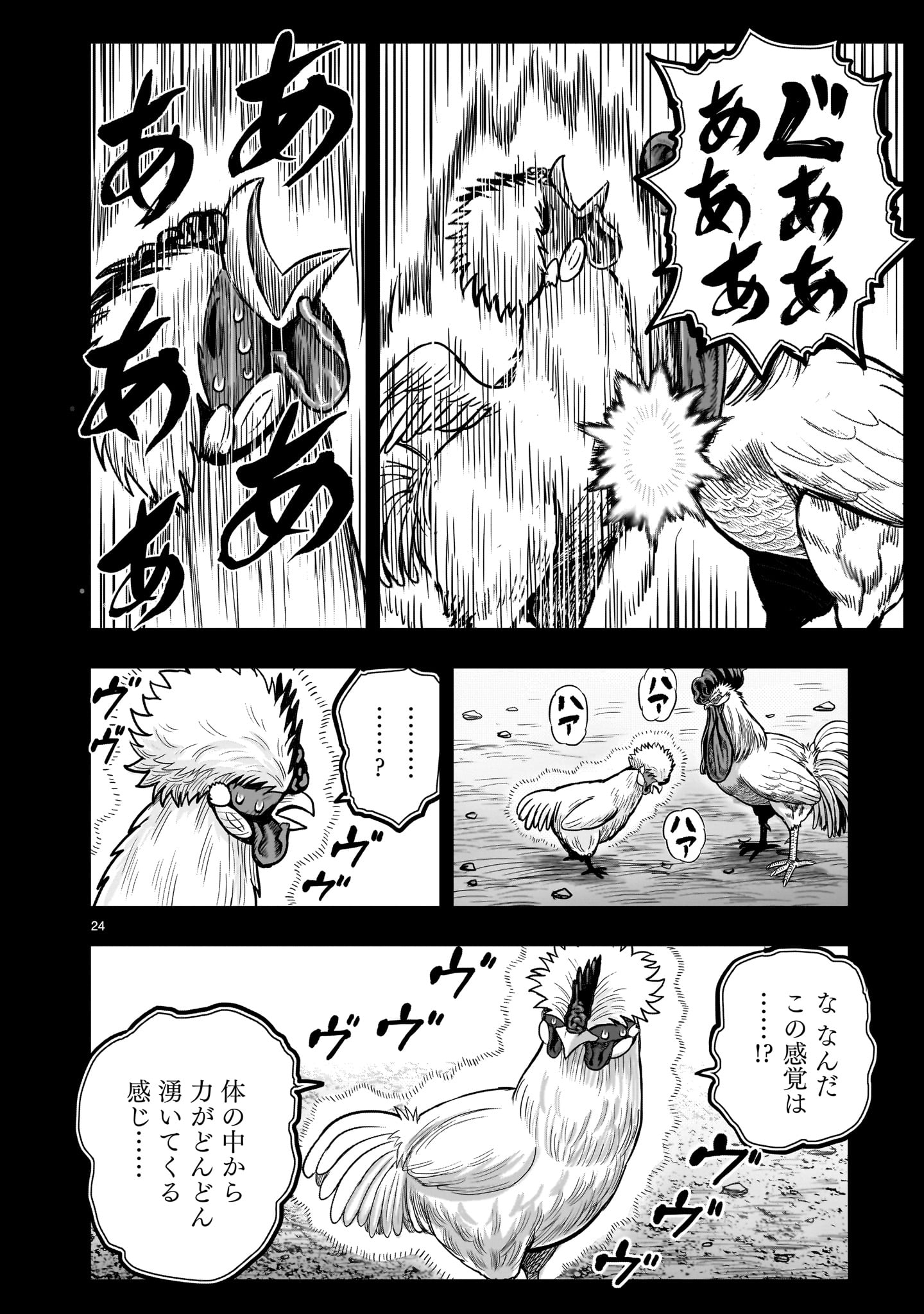 ニワトリ・ファイター 第26話 - Page 24