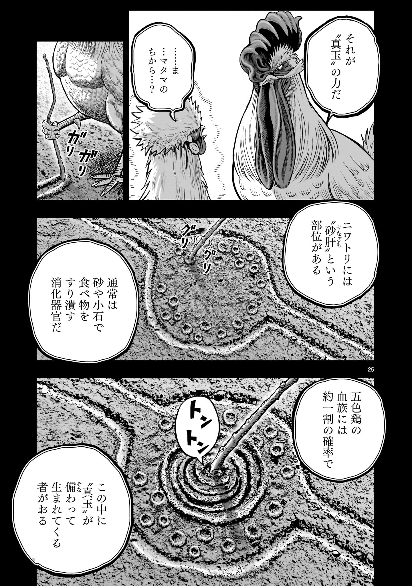 ニワトリ・ファイター 第26話 - Page 25