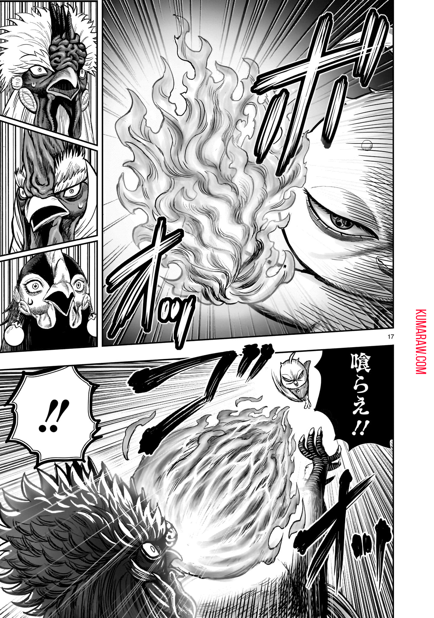 ニワトリ・ファイター 第33話 - Page 17