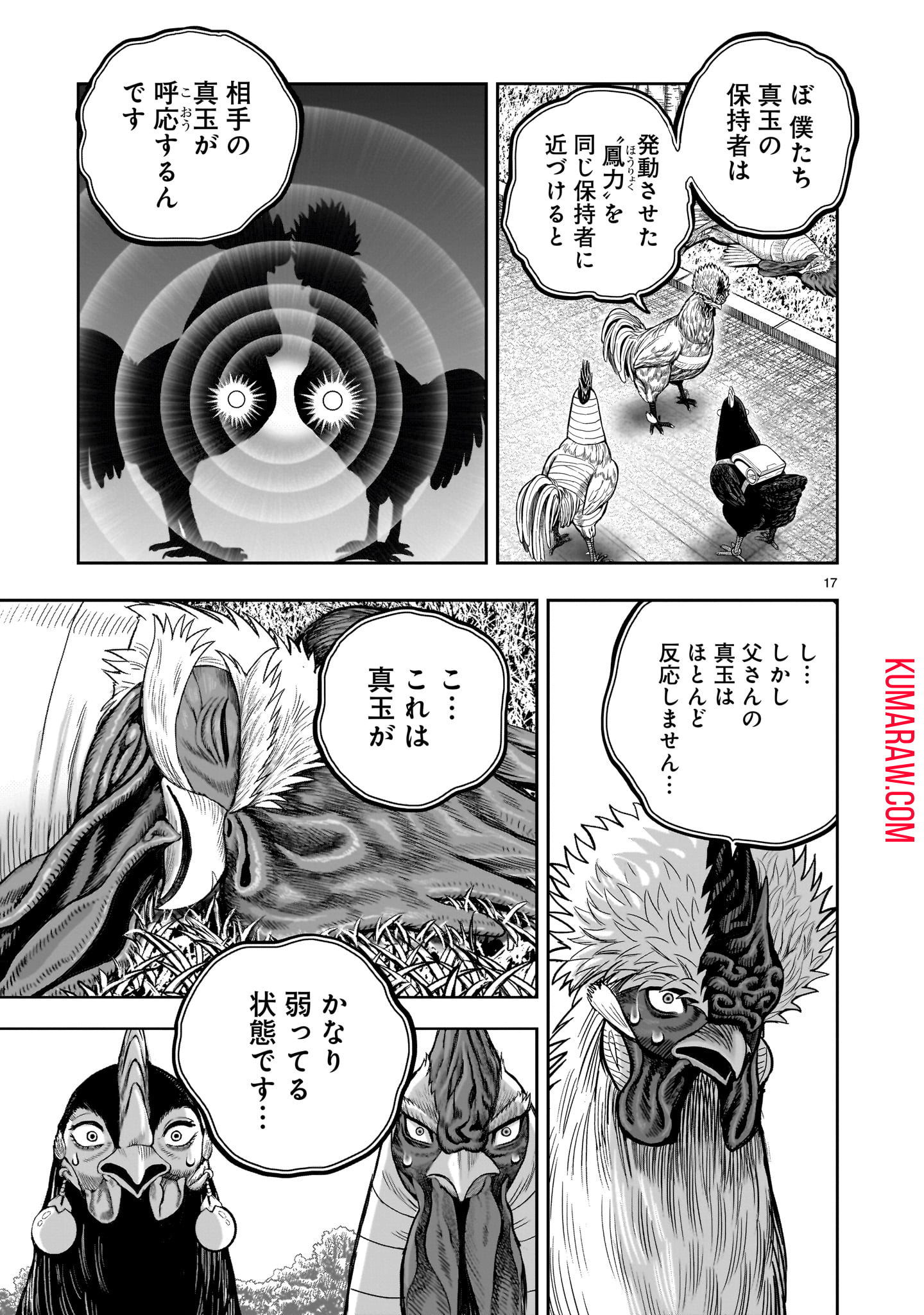 ニワトリ・ファイター 第34話 - Page 17