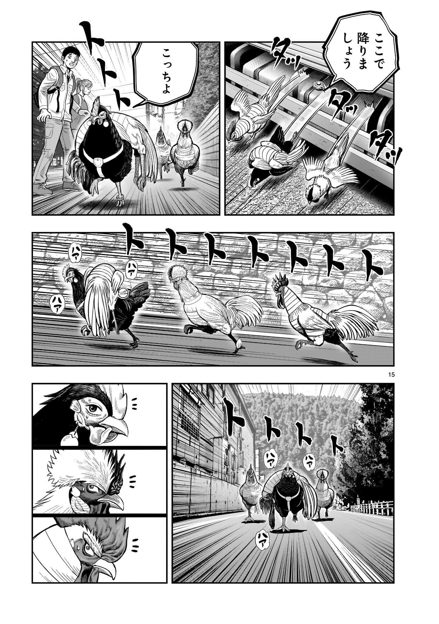 ニワトリ・ファイター 第36話 - Page 15