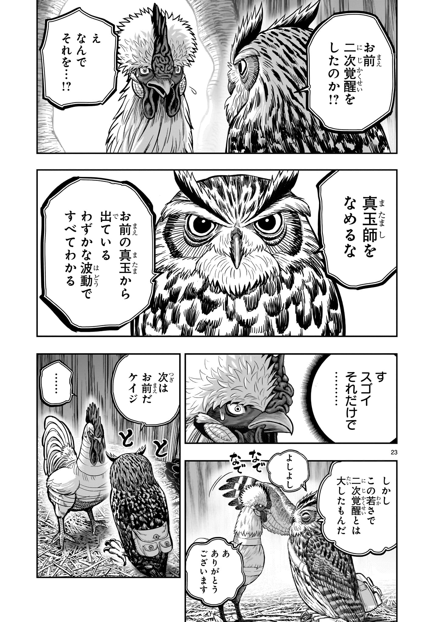 ニワトリ・ファイター 第38話 - Page 23