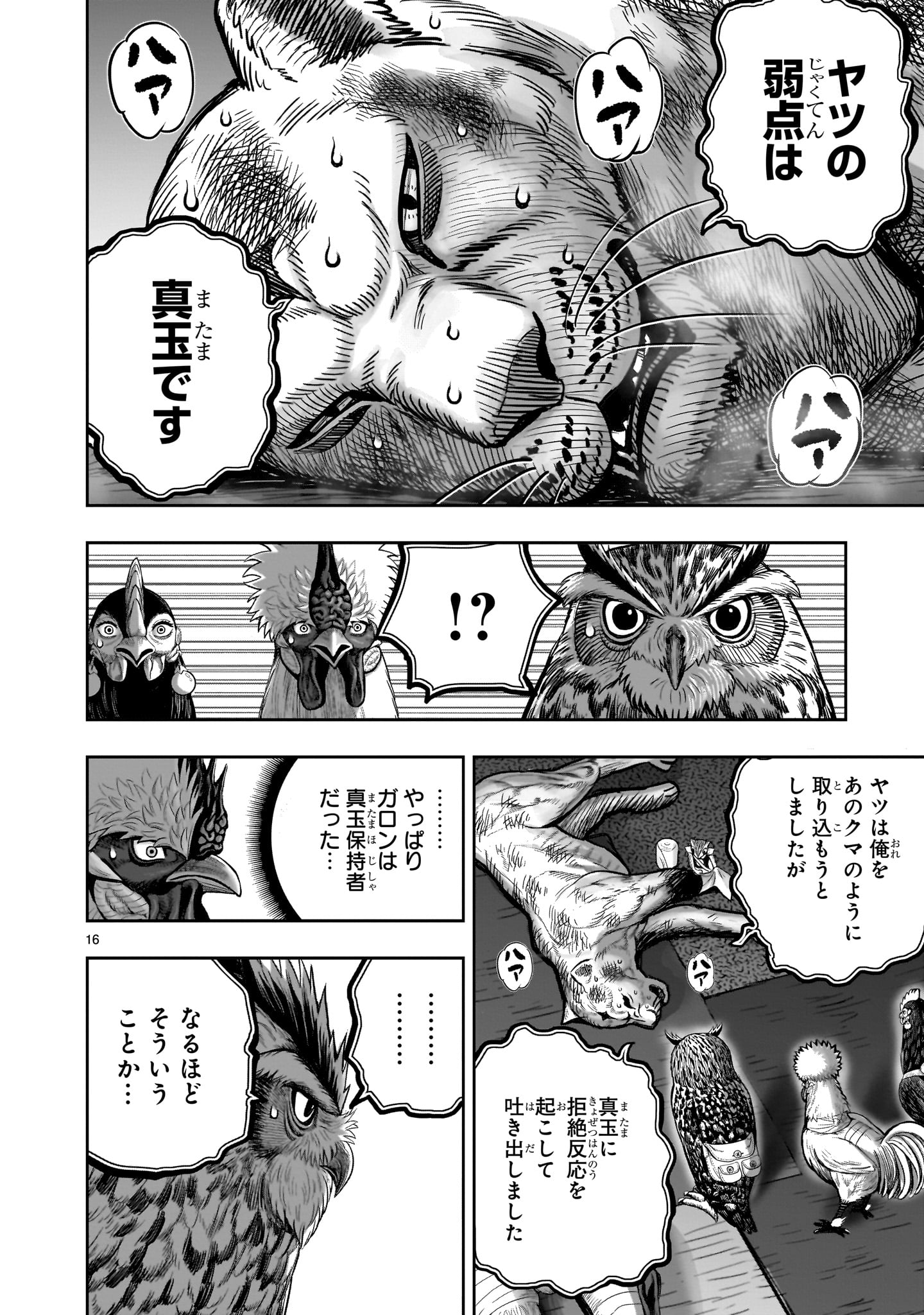 ニワトリ・ファイター 第41話 - Page 16