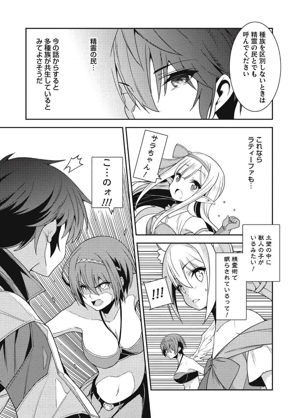 精霊幻想記 ～こんな世界で出会えた君に～ (みなづきふたご) 第18話 - Page 19