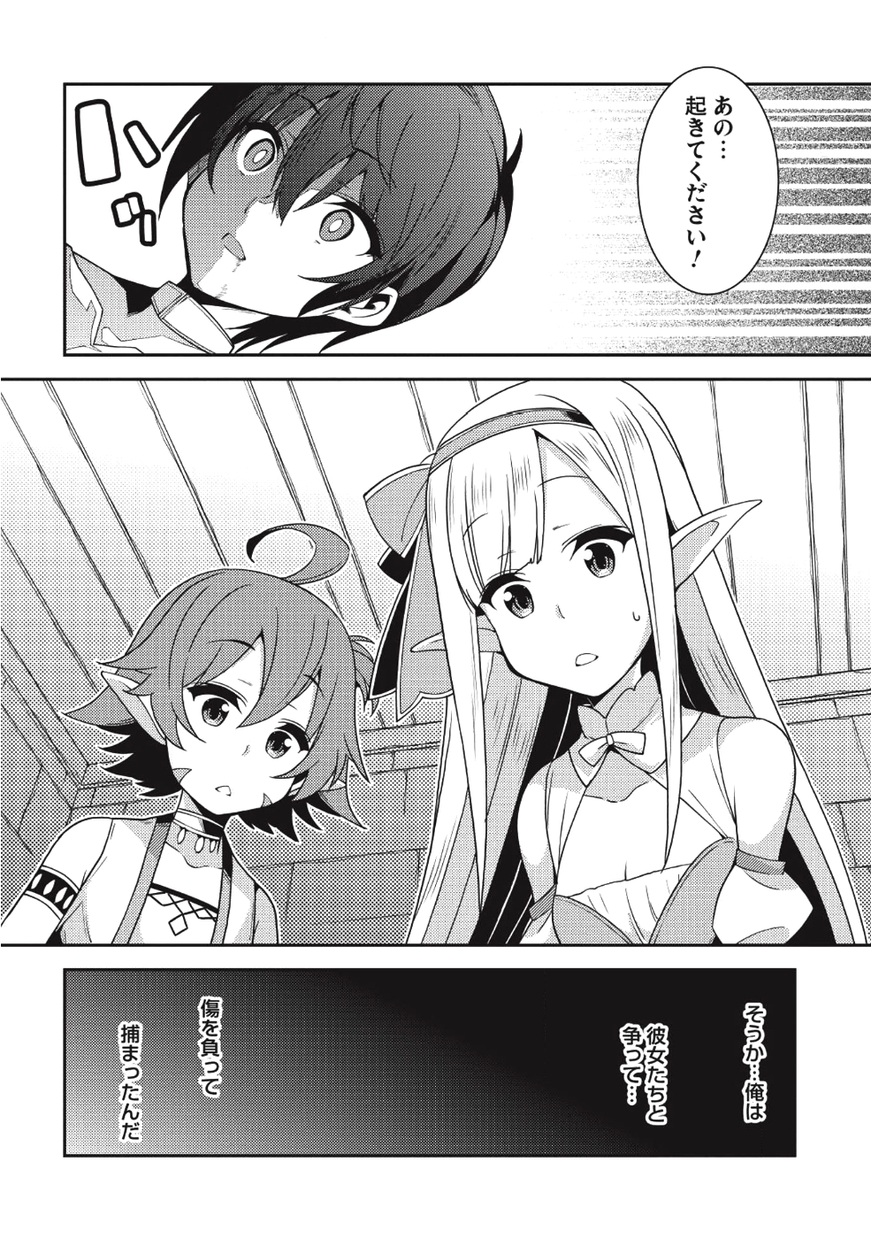 精霊幻想記 ～こんな世界で出会えた君に～ (みなづきふたご) 第19話 - Page 12