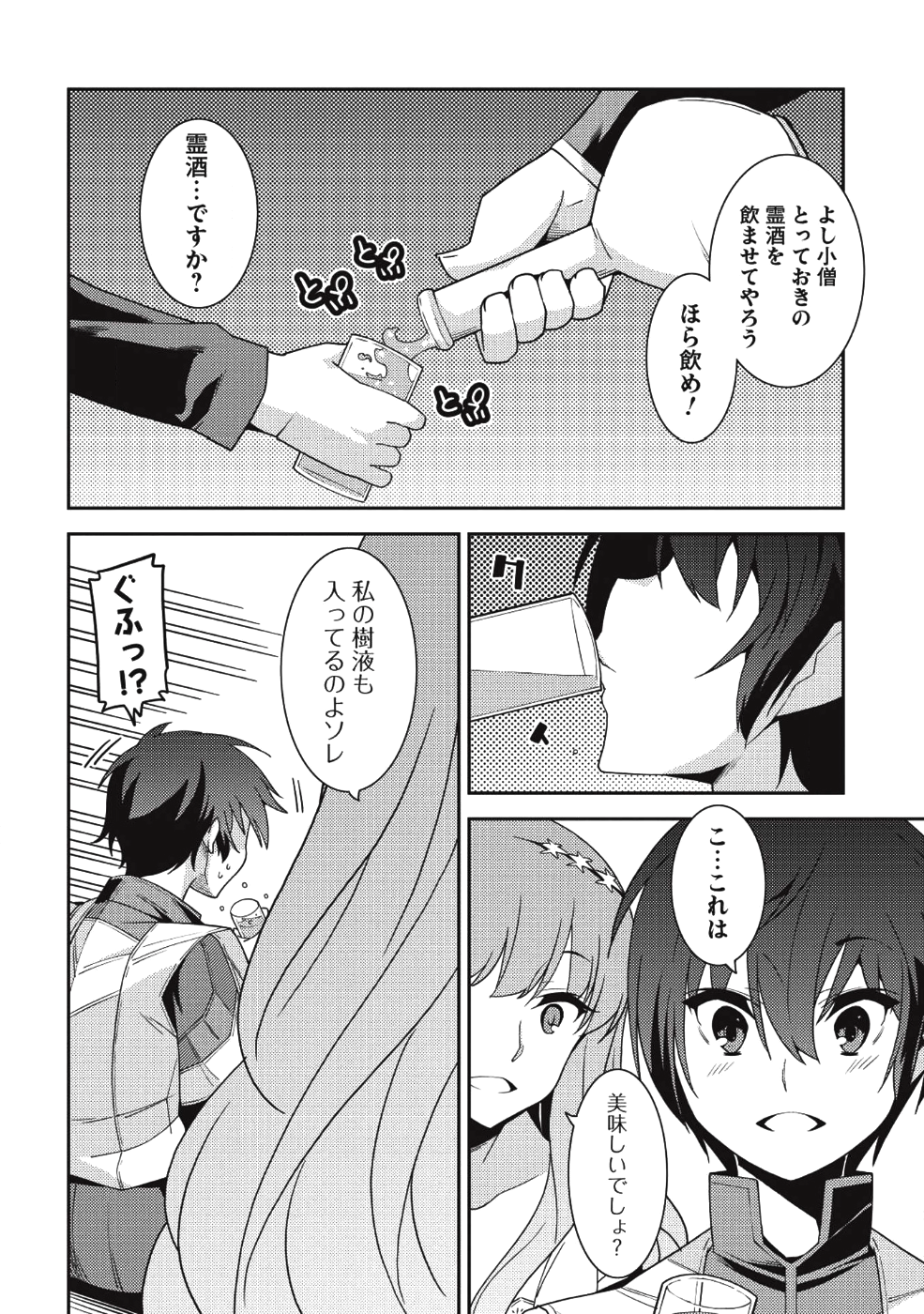 精霊幻想記 ～こんな世界で出会えた君に～ (みなづきふたご) 第21話 - Page 9