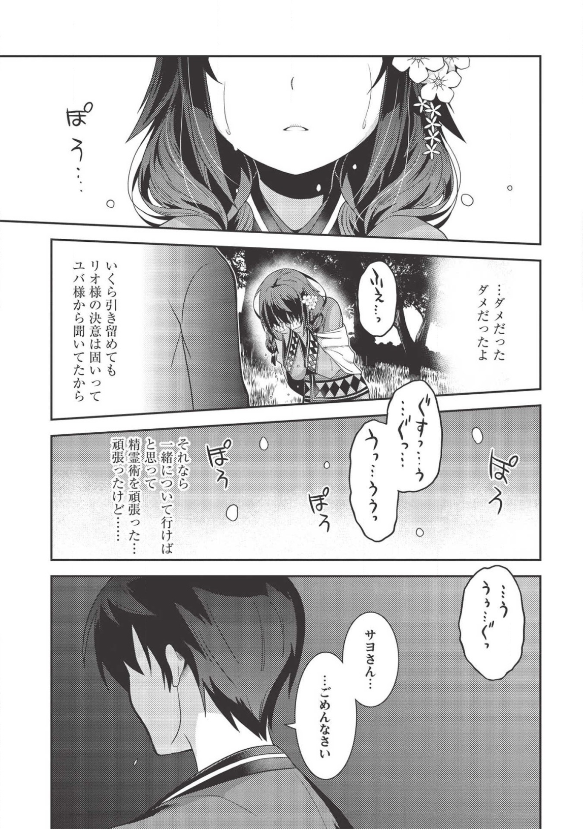 精霊幻想記 ～こんな世界で出会えた君に～ (みなづきふたご) 第31話 - Page 15