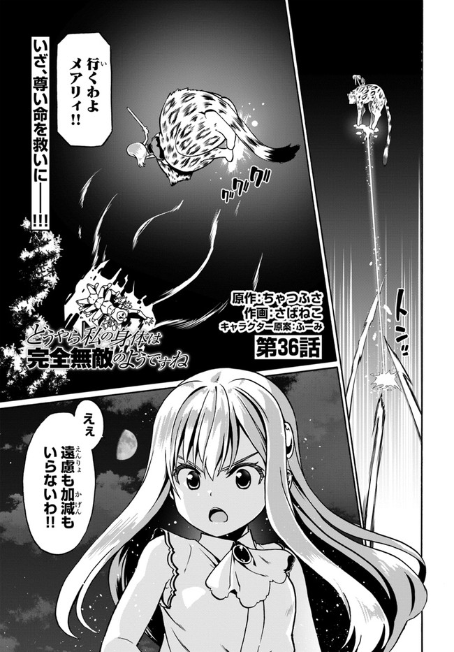 どうやら私の身体は完全無敵のようですね 第36話 - Page 1