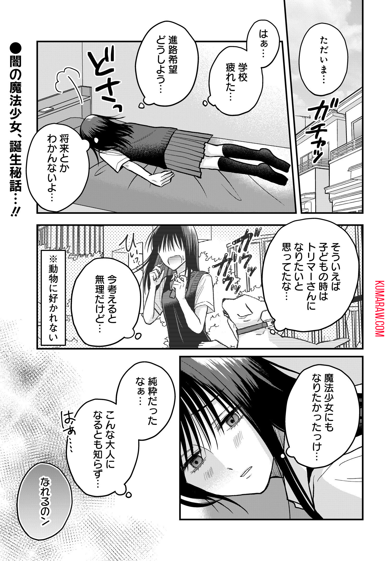 ぼくの奥さんは魔法少女かもしれない 第12.5話 - Page 1