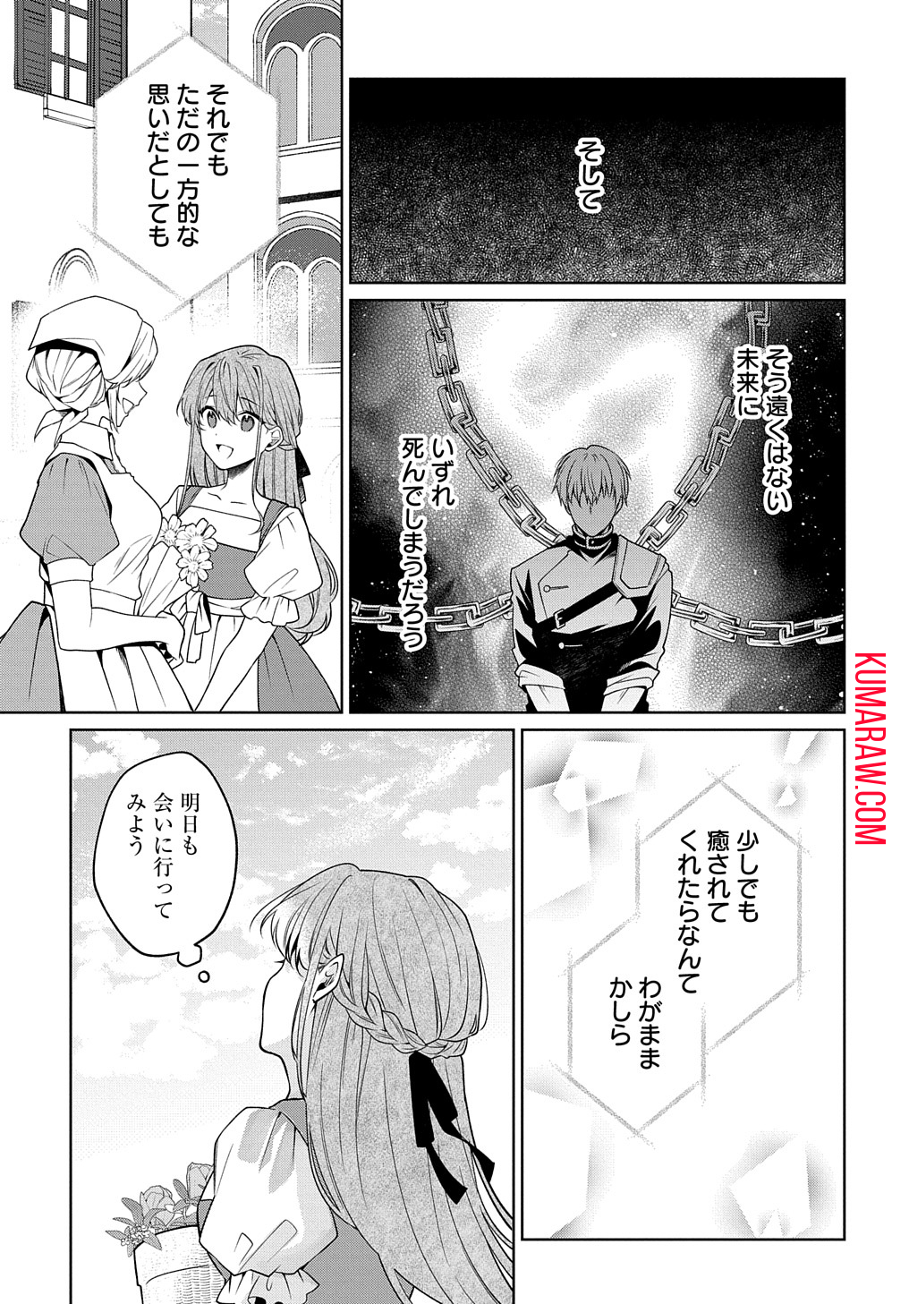 ひとりぼっちの花娘は檻の中の竜騎士に恋願う THE COMIC 第1.1話 - Page 39