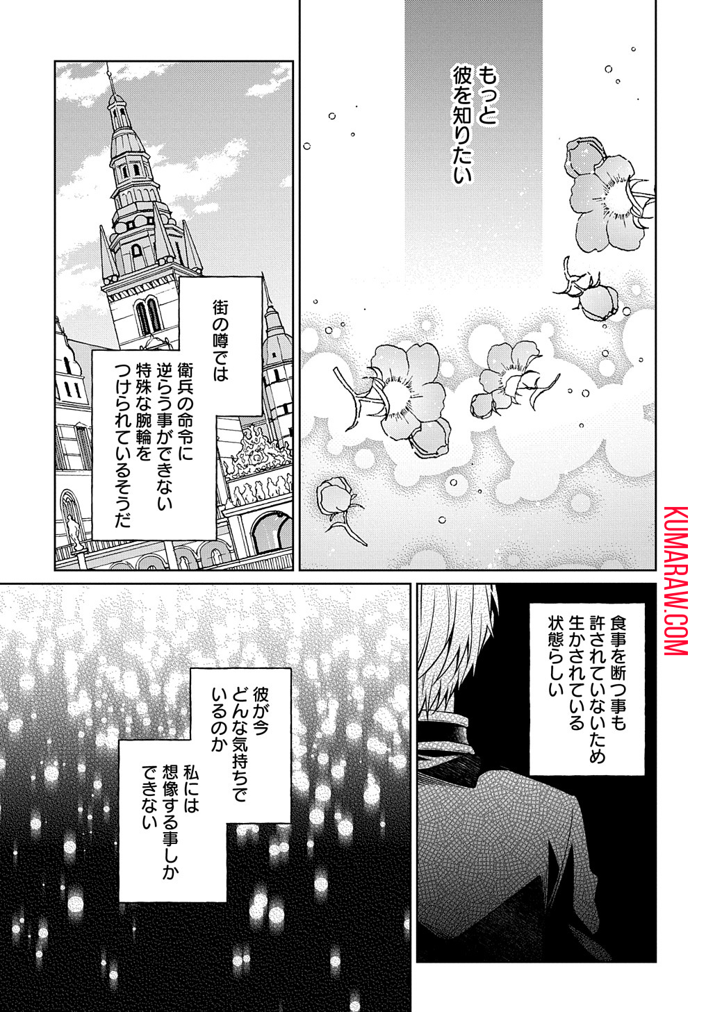 ひとりぼっちの花娘は檻の中の竜騎士に恋願う THE COMIC 第1.1話 - Page 47