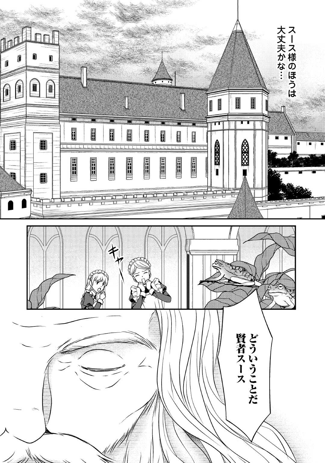 精霊守りの薬士令嬢は、婚約破棄を突きつけられたようです 第5話 - Page 22