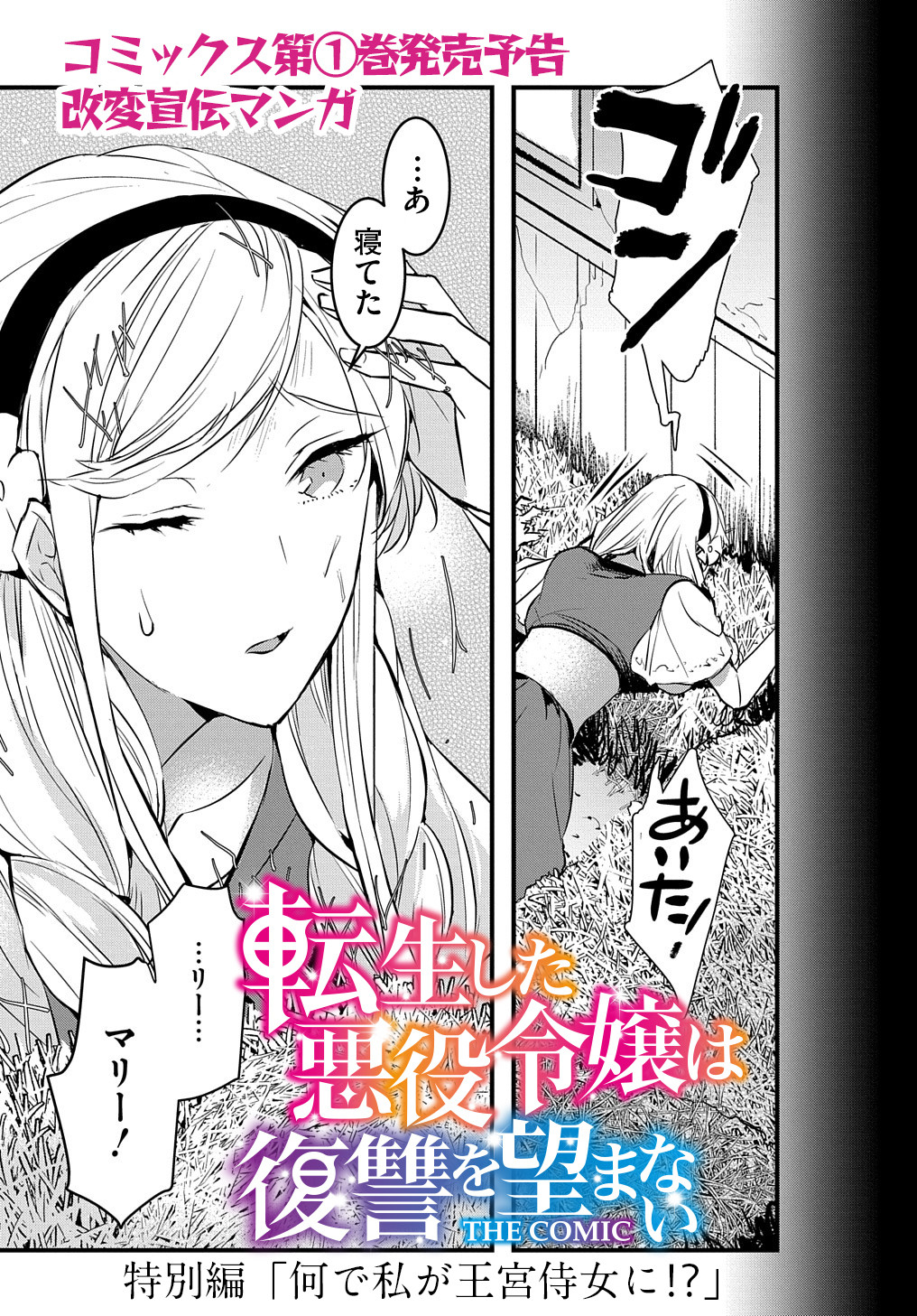 転生した悪役令嬢は復讐を望まない THE COMIC 第4.5話 - Page 2