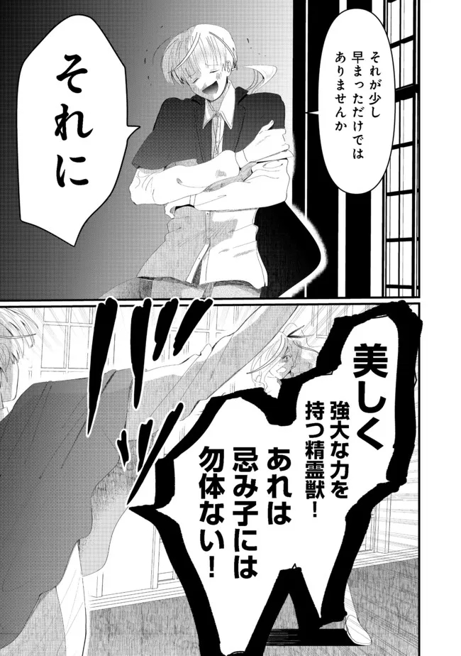 忌み子と呼ばれた召喚士 第18.1話 - Page 11