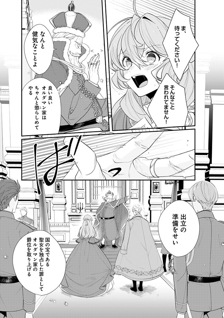 大切を押し付けられた聖女 第11.1話 - Page 10