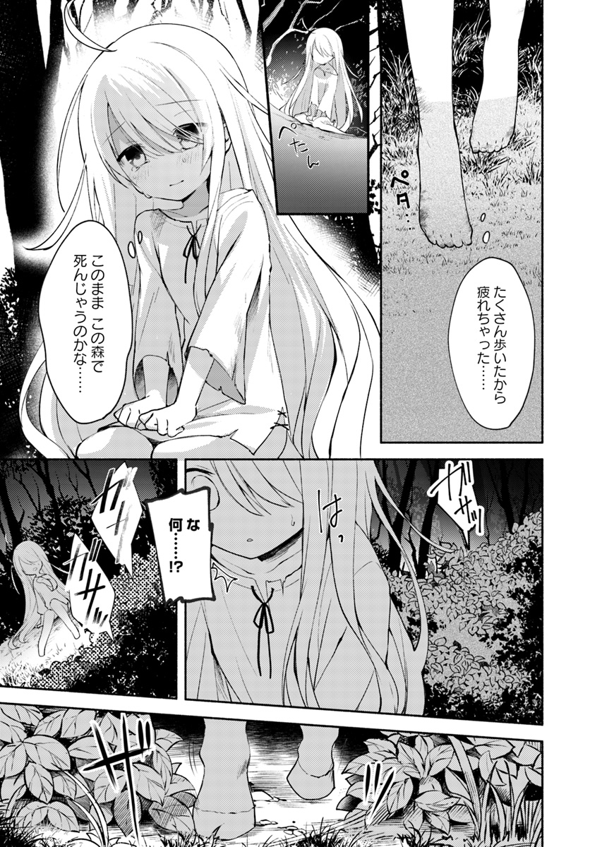 双子の姉が神子として引き取られて、私は捨てられたけど多分私が神子である。 第1話 - Page 12