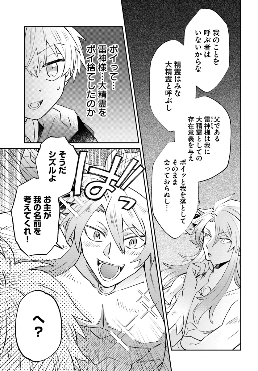 雷帝の軌跡 ～俺だけ使える【雷魔術】で異世界最強に！～ 第11.1話 - Page 3