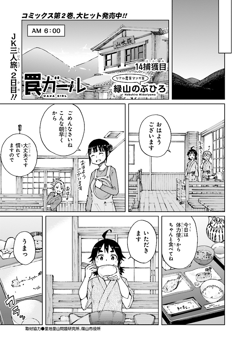 罠ガール 第14話 - Page 1