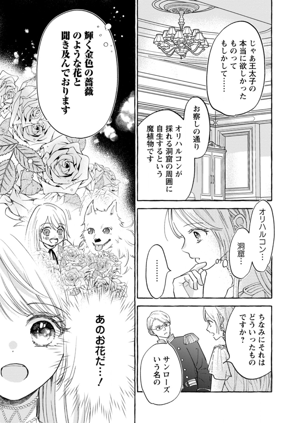 お試しで喚ばれた聖女なのに最強竜に気に入られてしまいました。 第10.2話 - Page 7