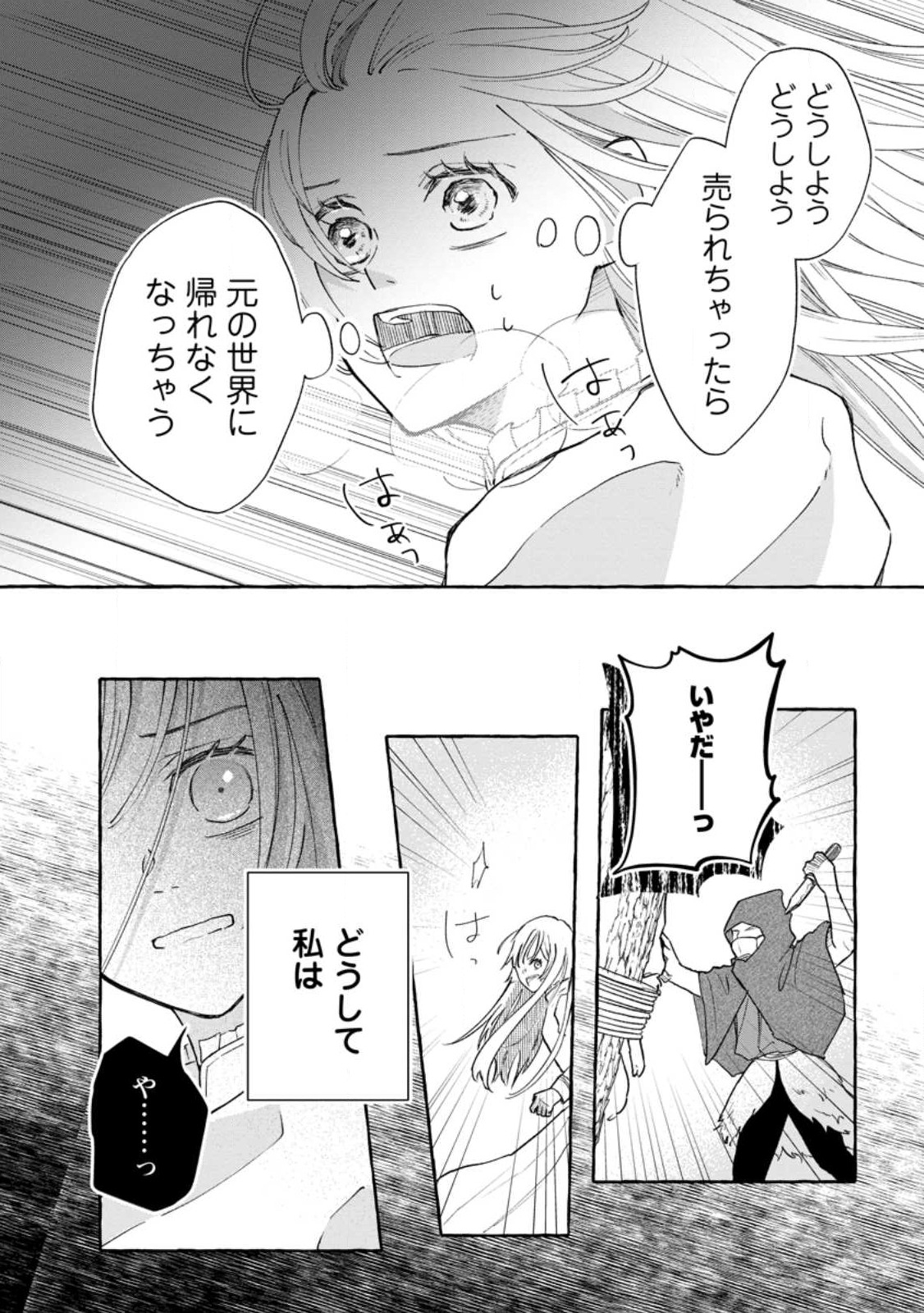 お試しで喚ばれた聖女なのに最強竜に気に入られてしまいました。 第3.1話 - Page 10