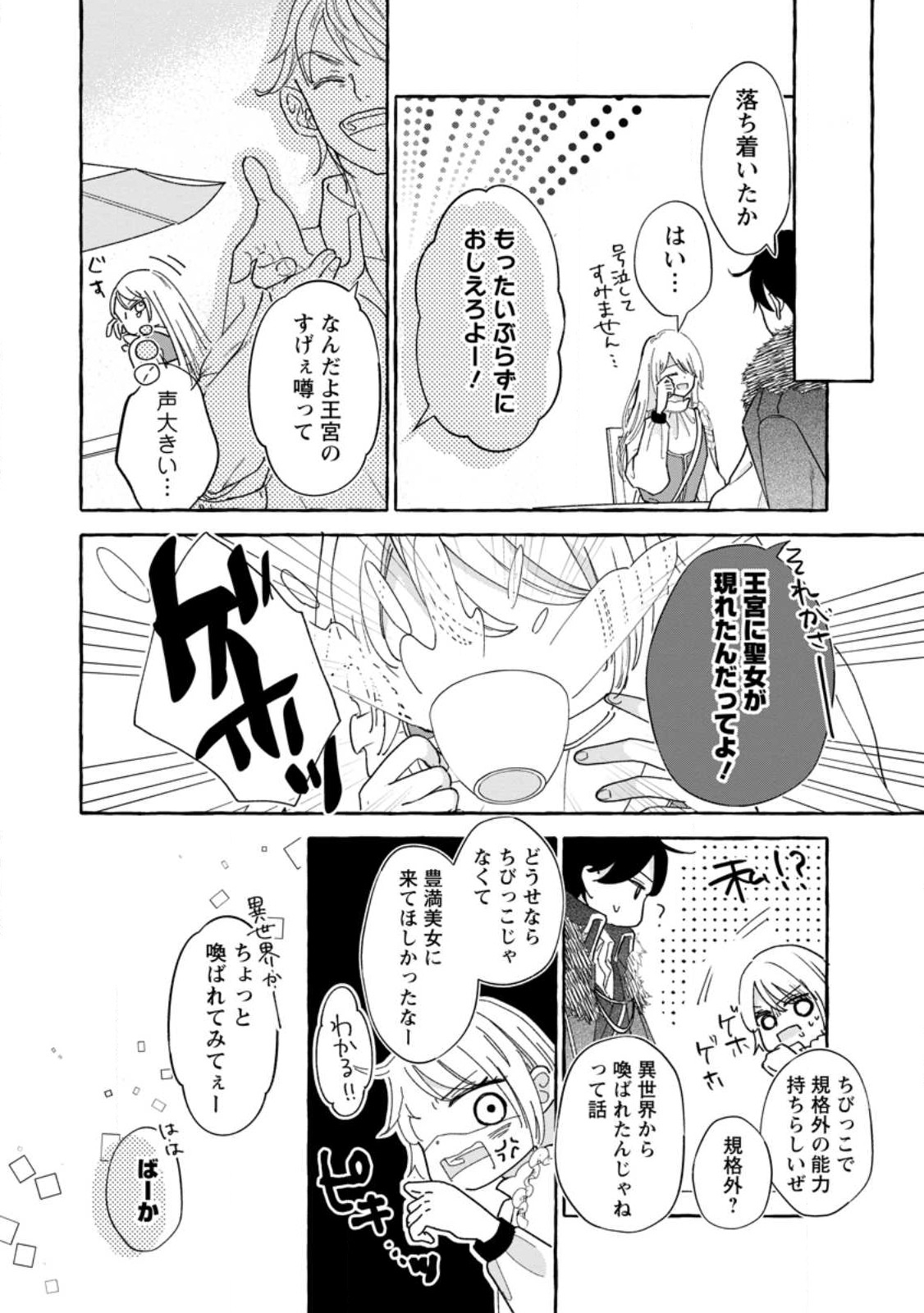 お試しで喚ばれた聖女なのに最強竜に気に入られてしまいました。 第6.3話 - Page 8